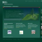 the-boston-consulting-group-gmbh