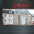 bluemlein-immobilien-gmbh