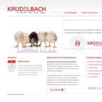 bewachungsdienst-kruedelbach-gmbh-co-kgkg