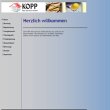 kopp-bau-service-gmbh