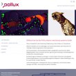 pollux-electro-mechanical-systems-gmbh