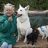 sylvia-s-dog-school-trainer-uebungsleiter-ausbildungswart---groomersylvia-rakisch