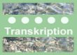 www-transkription-eu