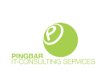 pingbar-it-consulting-services