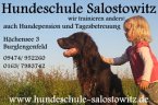 hundeschule-hundebetreuung