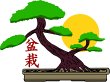 bonsai-zentrum-wilfried-gessner