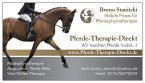 pferde-therapie-direkt