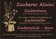 alwini-zauberer-und-zauberschule