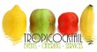 tropicocktail-barkeeping-services