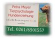 hundepsychologie-hundeerziehung