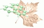 baubiologie-und-umweltschutz-sachverstaendigenbuero-andreas-weissbach