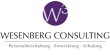 wesenberg-consulting