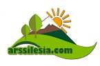 arssilesia-tradinghouse-ltd