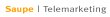 saupe-telemarketing