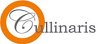 cullinaris-personal-logistik-caterer