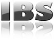ibs-internet-beratung-service