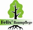 felix-baumpflege