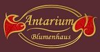 antarium-blumenhaus