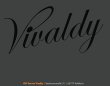 edv-service-vivaldy