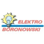 elektro-boronowski