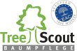 treescout-baumpflege