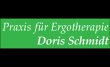 schmidt-doris