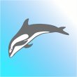 delphin-reinigung