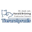harald-bruening-dr-med-vet-praktischer-tierarzt