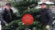 weihnachtsbaum-onlineshop---dein-weihnachtsbaum-de