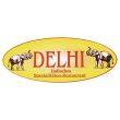 delhi-erlangen