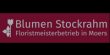 blumen-stockrahm