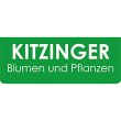 kitzinger-blumen-und-pflanzen