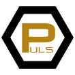 puls-bauunternehmung