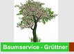 baumservice-gruettner