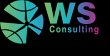 ws-consulting