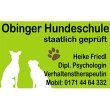 obinger-hundeschule