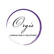 orgis-consulting-solutions