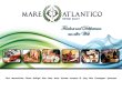 mare-atlantico-delikatessen-gmbh