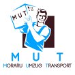 mut-umzug-transport
