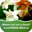 abelia-pension-und-ferienwohnungen-helmstedt