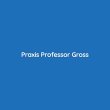 praxis-professor-gross-internist