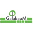 galabaum---inh-adam-helis