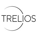 trelios-seo-webdesign-werbeagentur-hannover