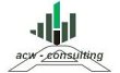 acw-consulting