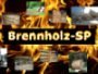 brenn--und-kaminholzhandel-plag