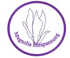 magnolia---praxis-fuer-ganzheitliche-entspannung