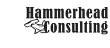 hammerhead-consulting