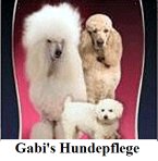 gabi-s-hundepflege