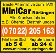 taxi-alternative-minicar