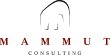 mammut-consulting-gmbh